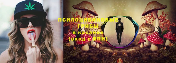 spice Липки