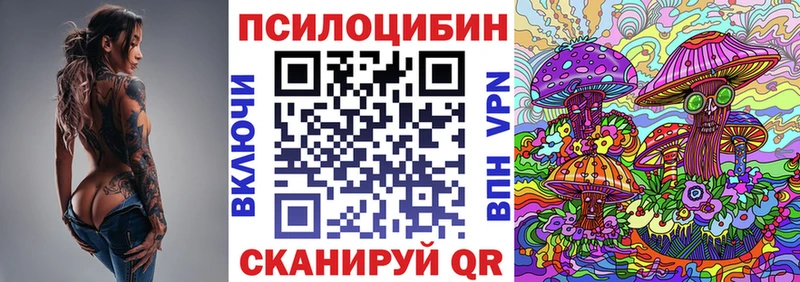 Псилоцибиновые грибы Cubensis  дарнет шоп  гидра вход  Черняховск 