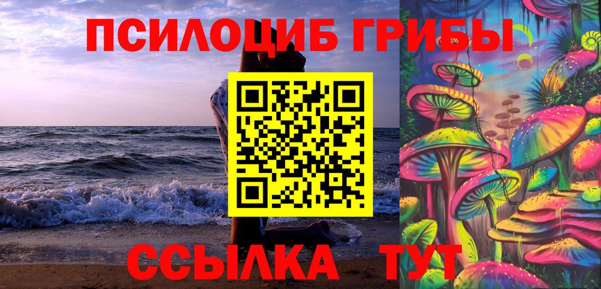 Галлюциногенные грибы GOLDEN TEACHER Черняховск