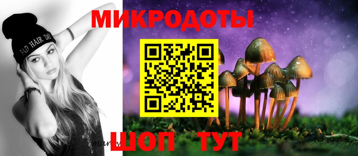 Галлюциногенные грибы прущие грибы Черняховск