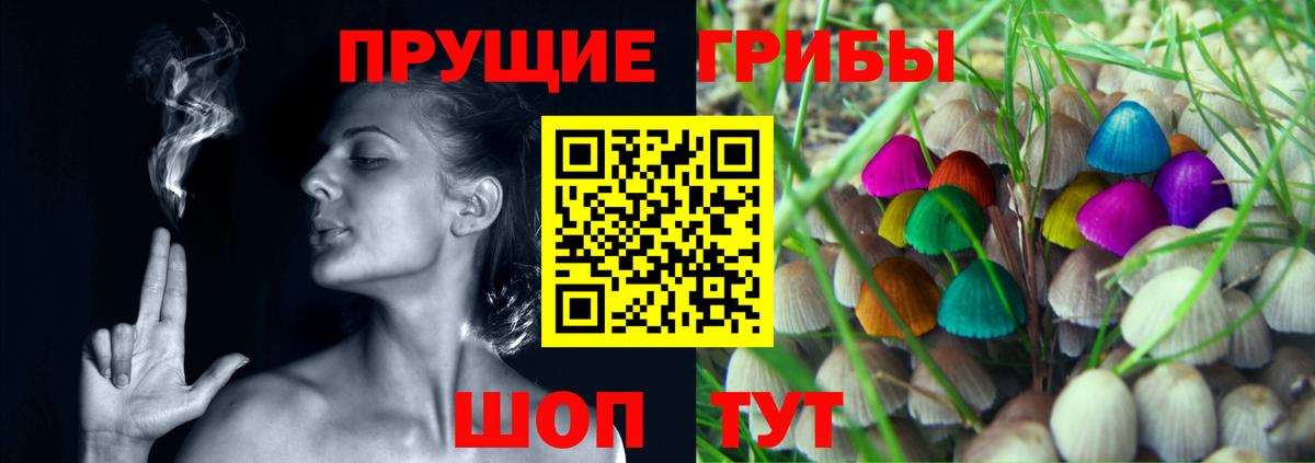 Черняховск  Псилоцибиновые грибы MAGIC MUSHROOMS  Вход с VPN 
